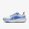 Кроссовки Nike W Air Winflo 11 Gtx FQ1359-002