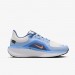 Кроссовки Nike W Air Winflo 11 Gtx FQ1359-002