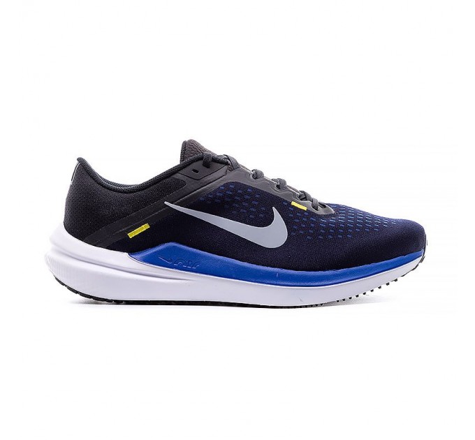 Кросівки Nike Air Winflo 10 DV4022-005