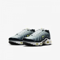 Кроссовки Nike Air Max Plus (Gs) CD0609-022
