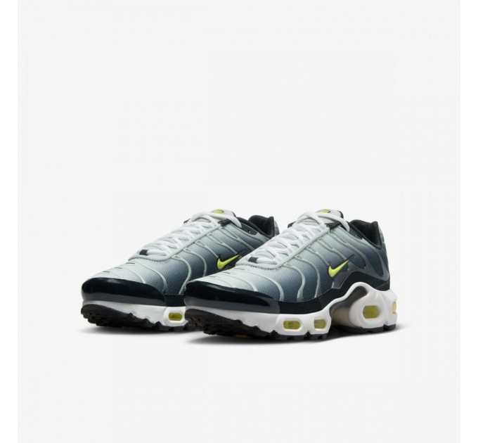Кроссовки Nike Air Max Plus (Gs) CD0609-022