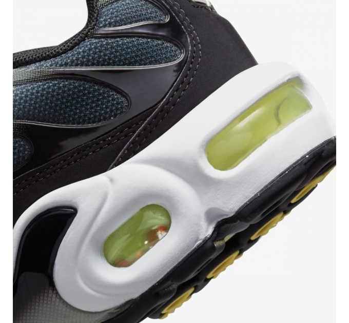 Кроссовки Nike Air Max Plus (Gs) CD0609-022