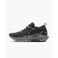 Кроссовки Nike W Pegasus Trail 5 Gtx FQ0912-001