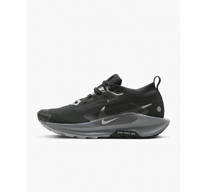 Кроссовки Nike W Pegasus Trail 5 Gtx FQ0912-001