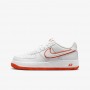 Кросівки Nike Air Force 1 DV7762-101
