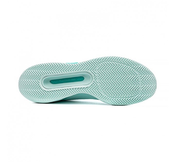 Кросівки Nike Zoom Court Pro Cly FD1156-300