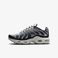 Кроссовки Nike Tn Air Max Plus Gs Black Metallic Cool Grey CD0609-026