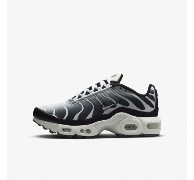Кроссовки Nike Tn Air Max Plus Gs Black Metallic Cool Grey CD0609-026
