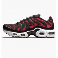 Кроссовки Nike Air Max Plus Bred (2021) (Gs) CD0609-200