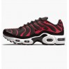 Кроссовки Nike Air Max Plus Bred (2021) (Gs) CD0609-200