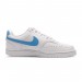 Кросівки Nike Court Vision Lo Nn DH3158-107