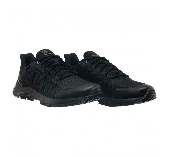 Кросівки Reebok Astroride Trail Gtx 2.0 EF4157