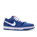 Кроссовки мужские Nike Dunk Low Pro Ishod Wair (819674-416)