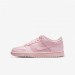 Кроссовки женские Nike Dunk Low Se (Gs) (921803-601)