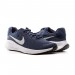 Кросівки Nike Revolution 7 FB2207-400