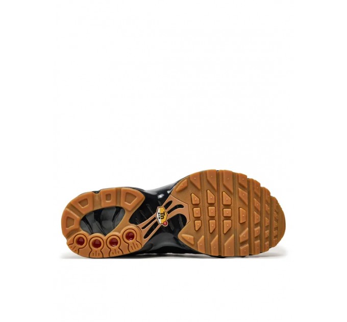 Кроссовки Nike Air Max Plus FV0377-001