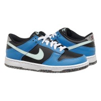 Кроссовки мужские Dunk Low Se Older Kids' Shoes - Black (DR0165-001)
