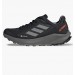 Кроссовки Adidas Terrex Trail Rider Gore-Tex Running HQ1238