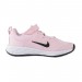 Кроссовки Nike Revolution 6 Nn (Psv) DD1095-608
