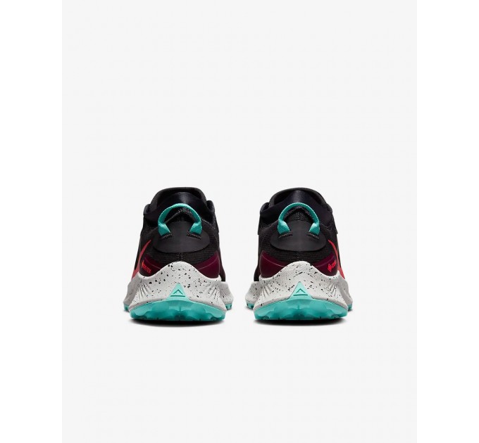 Кроссовки Nike Pegasus Trail 3 Gtx