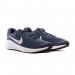 Кросівки Nike Revolution 7 FB2207-400