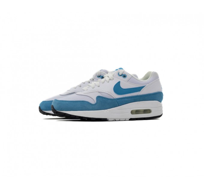 Кроссовки Nike Air Air Max 1 Wmns 319986-117