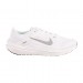 Кросівки Бігові Nike Air Winflo 10 DV4022-102