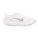Кросівки Бігові Nike Air Winflo 10 DV4022-102