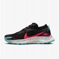 Кроссовки Nike Pegasus Trail 3 Gtx