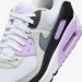Кроссовки Nike Air Max 90 DH8010-103