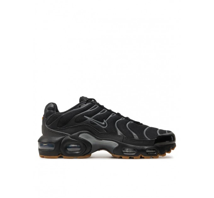 Кроссовки Nike Air Max Plus FV0377-001