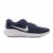 Кросівки Nike Revolution 7 FB2207-400