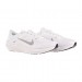 Кроссовки Бігові Nike Air Winflo 10 DV4022-102
