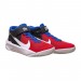 Кроссовки Nike Team Hustle D 10 Flyease (Gs)