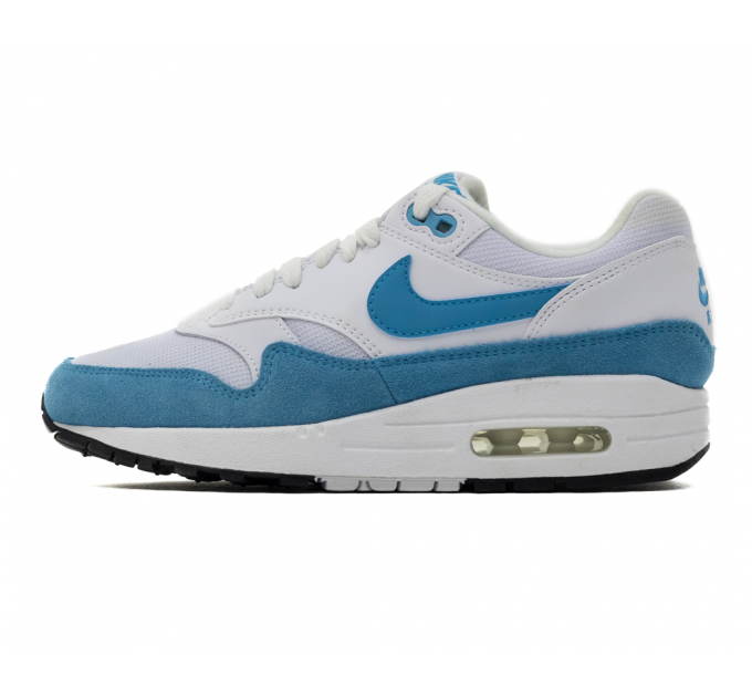 Кроссовки Nike Air Air Max 1 Wmns 319986-117