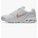 Кроссовки Nike Air Max Torch 4 343851-008