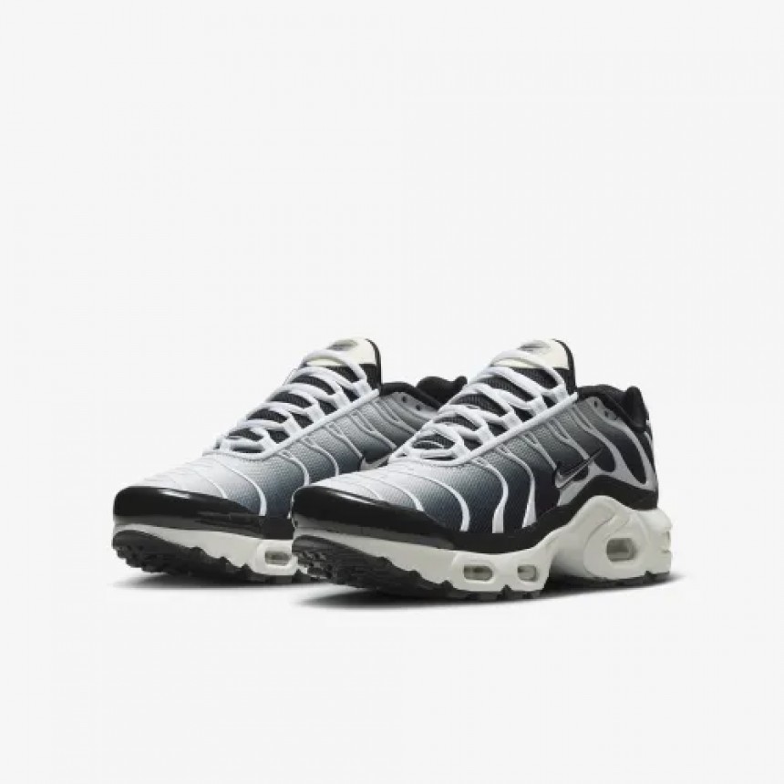 Кроссовки Nike Tn Air Max Plus Gs Black Metallic Cool Grey CD0609