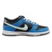 Кроссовки мужские Dunk Low Se Older Kids' Shoes - Black (DR0165-001)