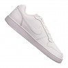 Nike Ebernon Low 100