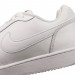 Nike Ebernon Low 100