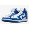 Кроссовки мужские Nike Dunk High Pro (DH7149-400)