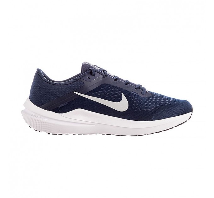 Кросівки Nike Air Winflo 10 DV4022-400