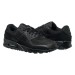 Кросівки Nike Air Max 90 CN8490-003