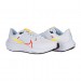 Кросівки Nike Air Zoom Pegasus 40 DV3854-102