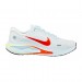Кросівки Nike W Journey Run FJ7765-101