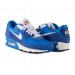 Кроссовки Nike Air Max 90 Se