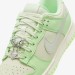 Кроссовки женские Nike Dunk Low Nn Se (FN6344-001)