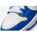 Кроссовки мужские Nike Dunk High Pro (DH7149-400)