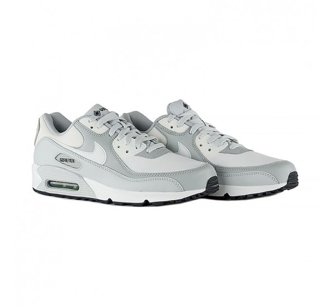 Кроссовки Nike Air Max 90 Gtx DJ9779-003