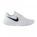Кроссовки Nike Tanjun DJ6258-100